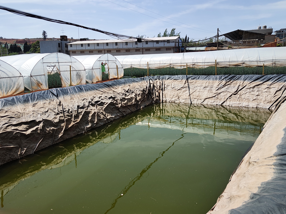 種植養(yǎng)殖防滲